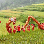 La danza del drago per il capodanno cinese