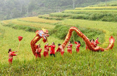 Danza del drago in Cina