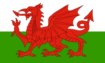 Il drago rosso del Galles sfida l'Inghilterra