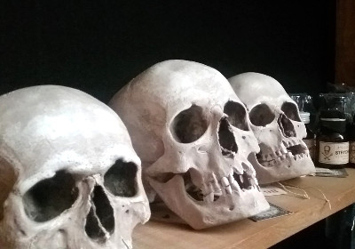 Lezione con crani e ossa a Belgioioso